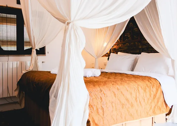 Freedom Ville Portugal Castelo Branco (Centro)